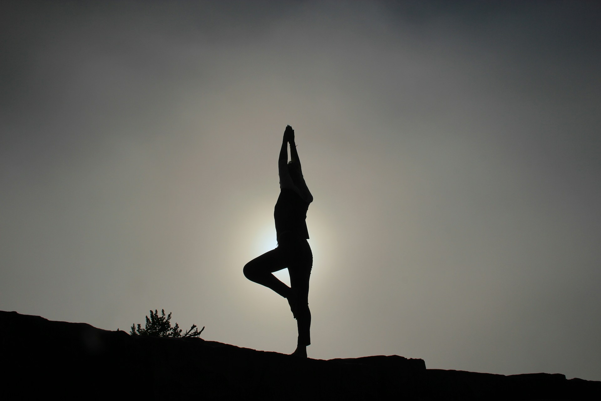 yin yoga opleiding