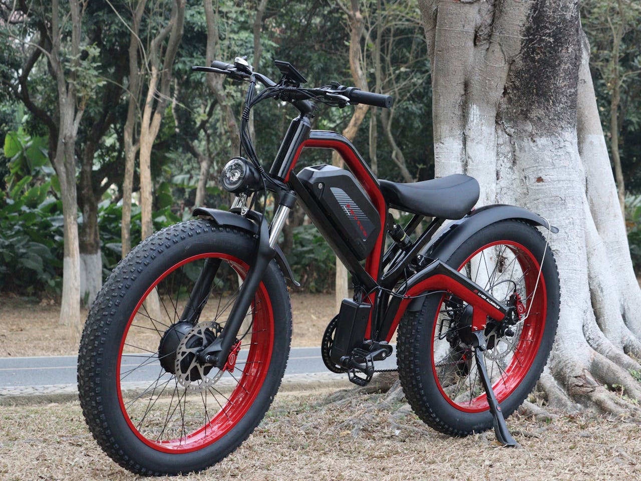 Engwe fatbike Engwe fatbike